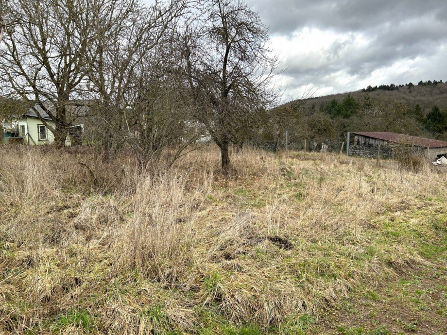 IMG_7728 2 Wohngrundst�ck Oberehe-Stroheich