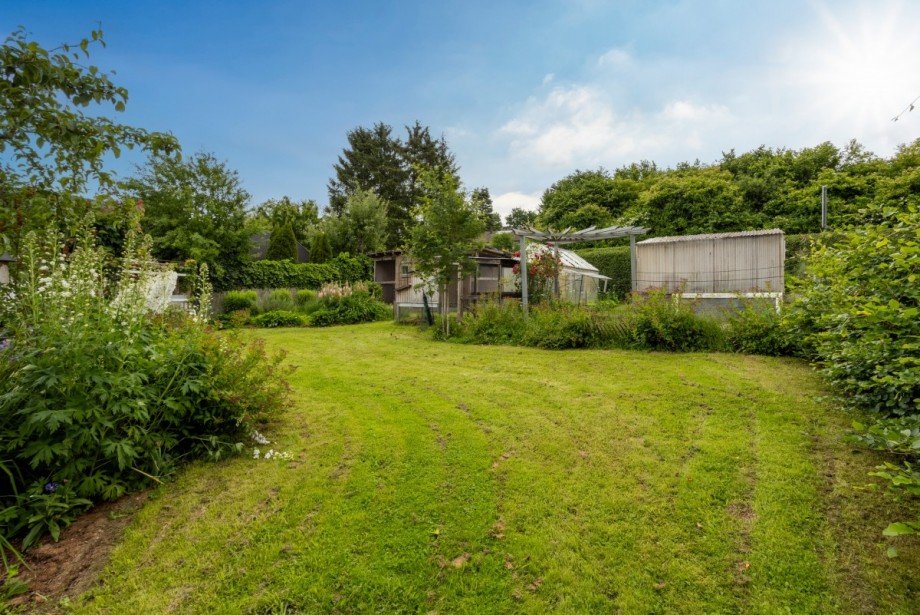Garten Bild 3 Einfamilienhaus Hillesheim