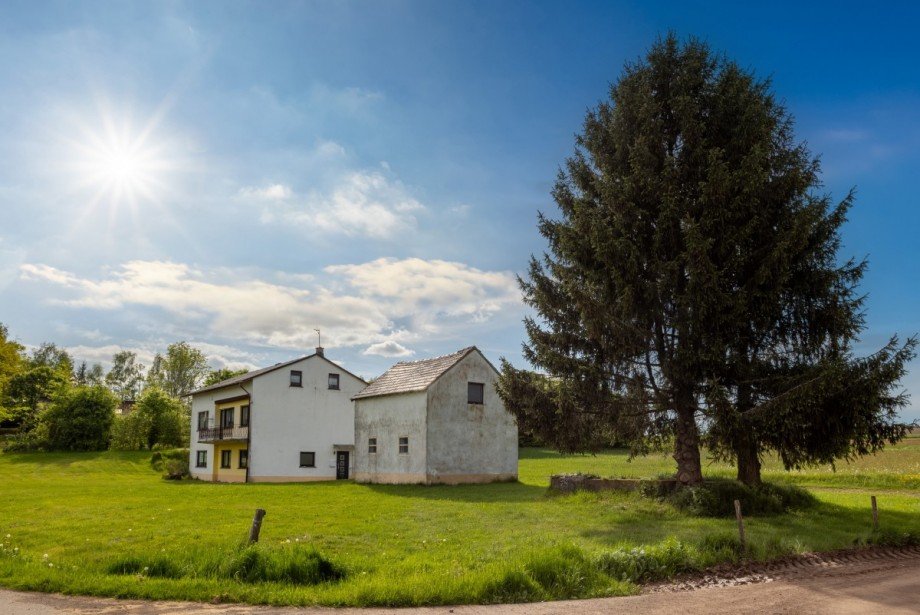 Au�enbereich mit Garten (4) Einfamilienhaus Kalenborn-Scheuern