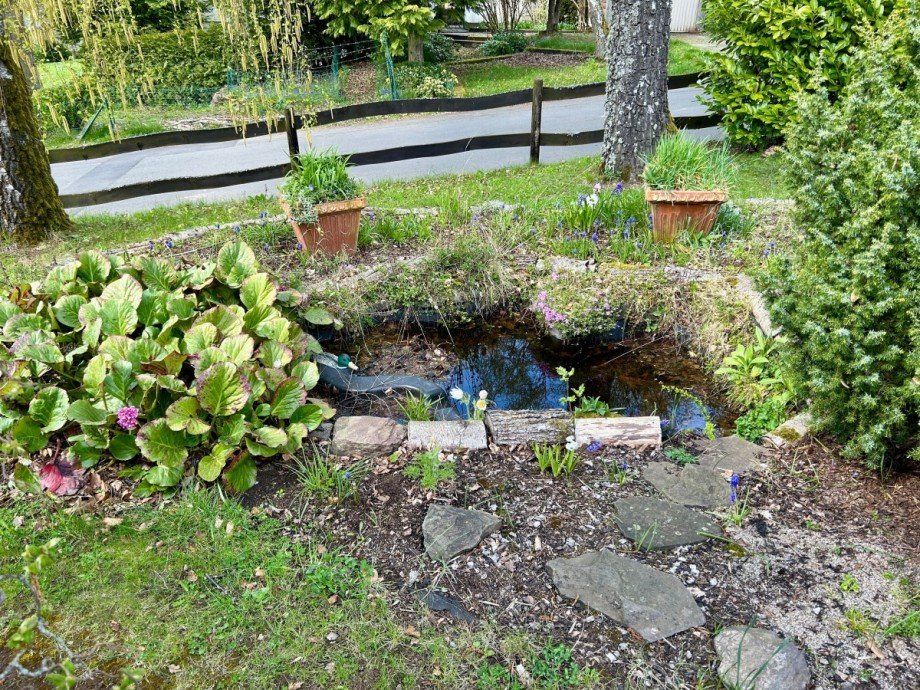 Gartenteich Landhaus Gerolstein