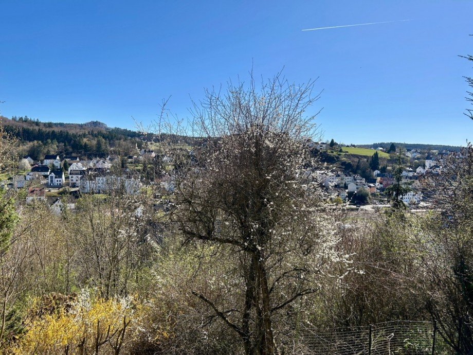 Balkon Aussicht - 2 Wohnung Gerolstein