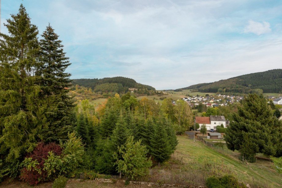 Ausblick Bild 2 Einfamilienhaus Oberstadtfeld